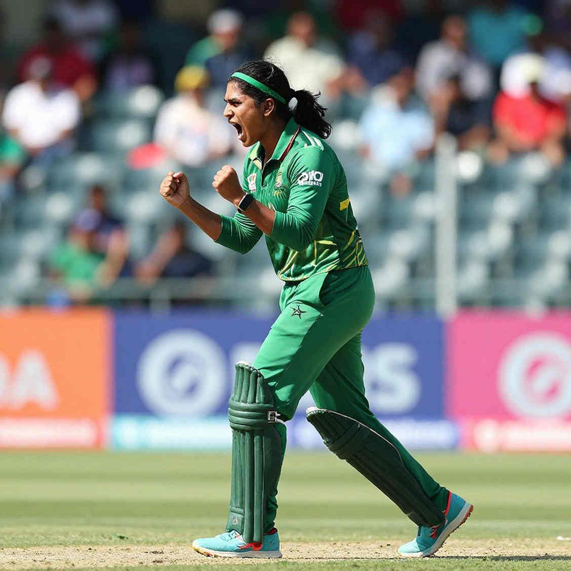 Where the Bowler Hunt Stops, the Batters Vanish: The Ledger Behind BCB's Asymmetric Bet Where the Bowler Hunt Stops, the Batters Vanish: The Ledger Behind BCB's Asymmetric Bet