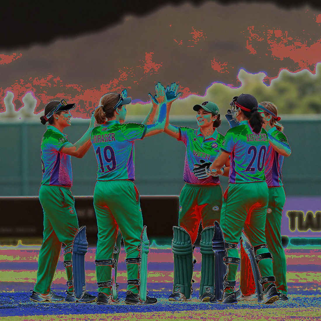 The Two-System Desk: Spin Apprenticeship, Workload and the Geometry of Asia's Cricket Economies The Two-System Desk: Spin Apprenticeship, Workload and the Geometry of Asia's Cricket Economies
