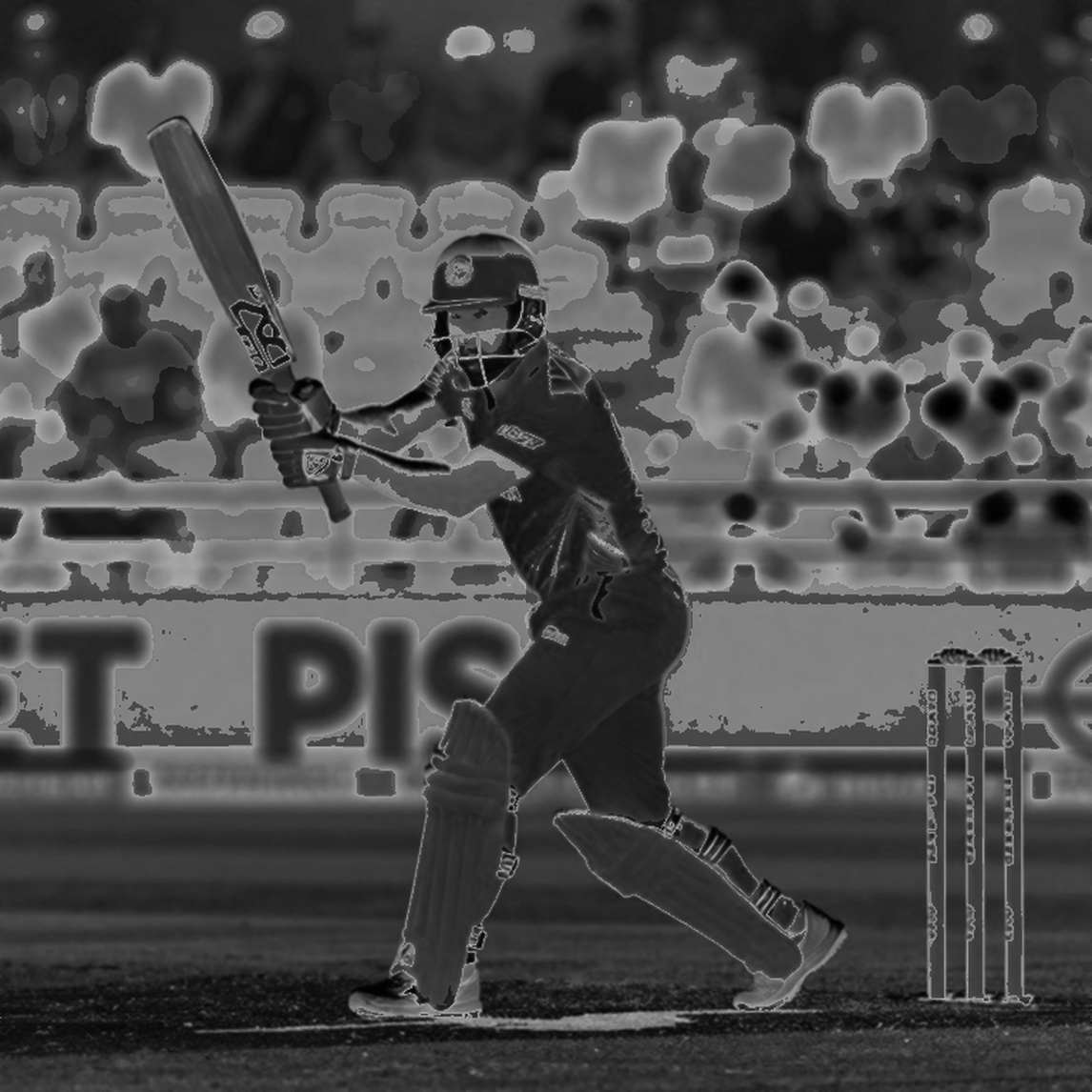 The Auction Ledger: The Gap Between Price and Value in the T20 Transfer Market The Auction Ledger: The Gap Between Price and Value in the T20 Transfer Market